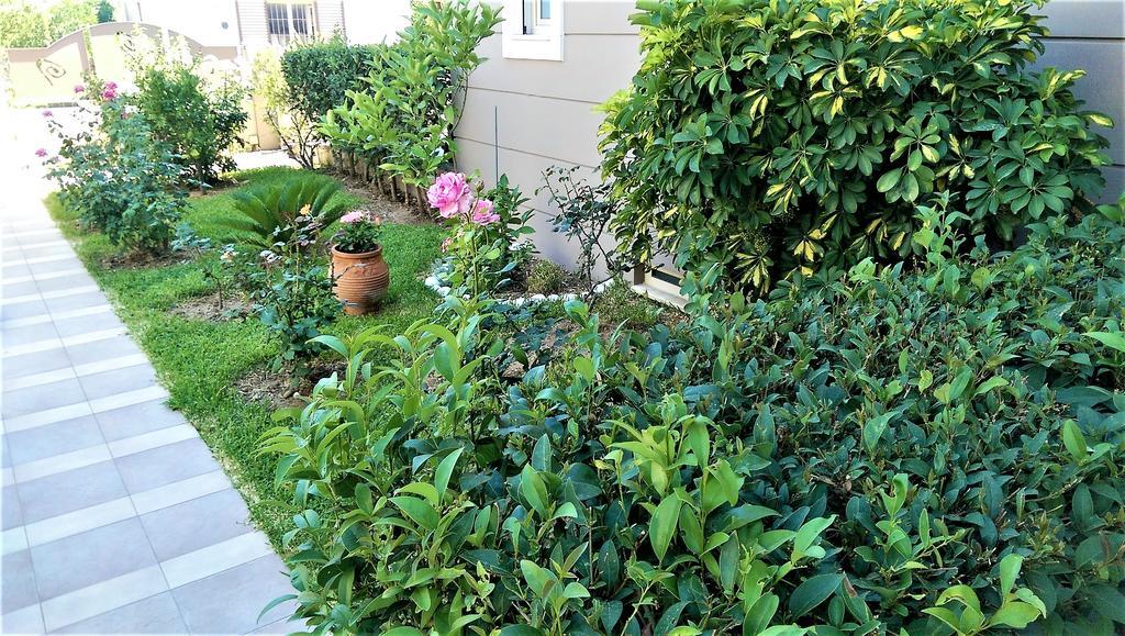 Maria's Rose Garden Apartment